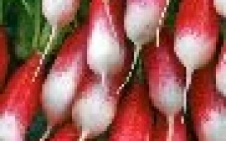 Пакет семян редиса сорта БОРЬКА