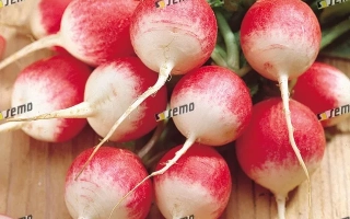 Свежие редисы с зелеными листьями на деревянной поверхности - Дуо