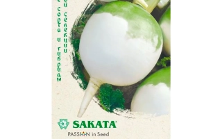 Пакет семян редиса ДЖАПЭН БОЛ РАБУ от SAKATA