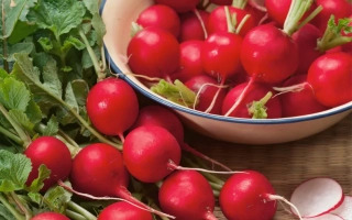 Свежие редиски в миске и на ткани - ЭСКАЛА