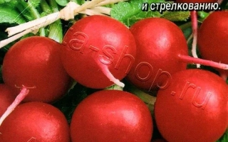 Пакет семян редиса Глобус F1