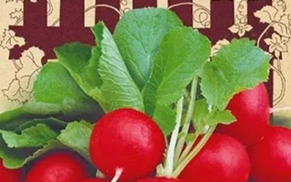 Пакет семян редиса Гусар с изображением красных корнеплодов и логотипом