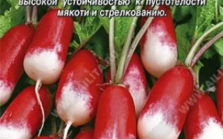 Пакет семян редиса сорта Кормилец