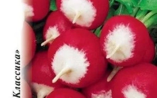 Пакет семян редиса Лиман с изображением свежих корнеплодов