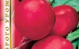 Пакет семян редиса Лючинка с изображением красных корнеплодов - ЛЮЦИНКА