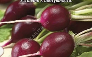 Пакет семян редиса Малага с изображением свежих корнеплодов.