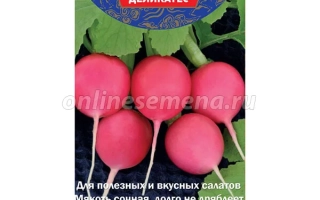 Пакет семян редиса Нежность с изображением красных корнеплодов