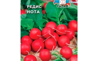 Пакет семян редиса сорта Нота с изображением красных корнеплодов и зелени.
