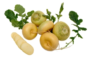 Петровская 1