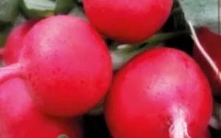 Пакет семян редиса Покер с изображением красных корнеплодов