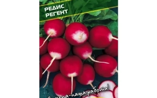 Пакет семян редиса сорта Регент