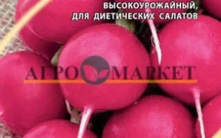 Пакет семян редиса сорта Резидент