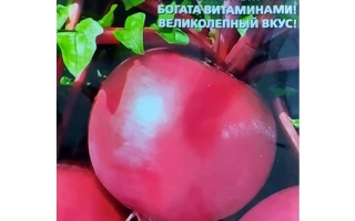 Пакет семян редиса Сахарная Голова с изображением красных корнеплодов