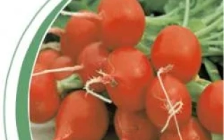 Свежие красные редисы на деревянной поверхности - Шахри