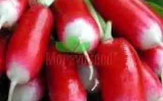 Свежий редис Славія на деревянной поверхности - Славия