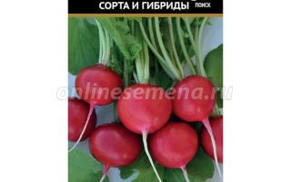 Пакет семян редиса сорта Спартак