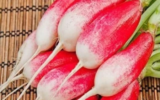 Свежие редиски на бамбуковой подложке - Старт