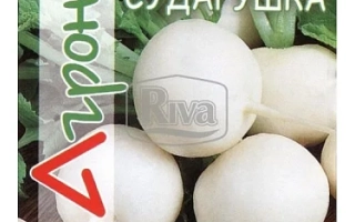 Пакет семян редиски Сударушка с изображением белых корнеплодов