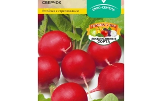 Пакет семян редиса СВЕРЧОК с изображением красных корнеплодов