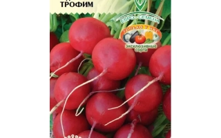 Пакет семян редиса ТРОФИМ с изображением красных корнеплодов