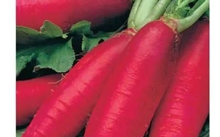 Семена редиса сорта Удача на упаковке