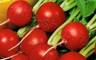 Пакет семян редиса УДАЛЕЦ с изображением свежих корнеплодов