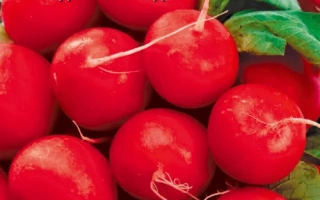 Пакет семян редиса ВЕРА МС с изображением свежих корнеплодов