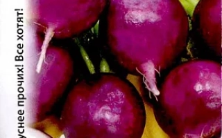 Пакет семян редиса Виолетта с изображением корнеплодов