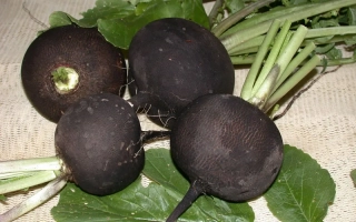 Зимняя круглая черная