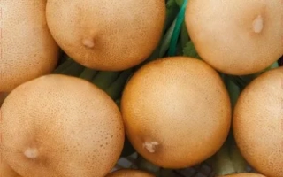 Пакет семян редиса Золотце