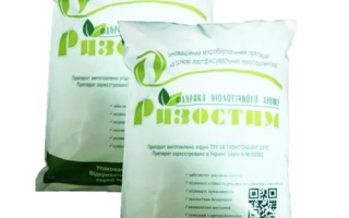 Упаковка биопрепарата Рабостим для гороха - АБМ инокулянт жидкий для гороха, р., биопрепарат