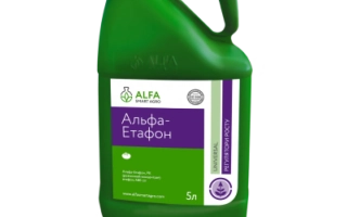 Альфа-Етафон