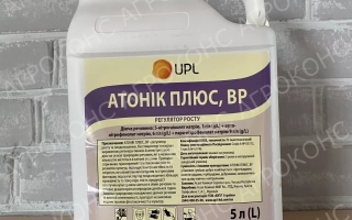Атоник Плюс