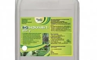 Белая канистра с зелёной крышкой и этикеткой «БИОИНОКУЛЯНТ-БТУ»