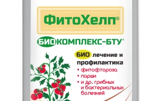 Бутылка с продуктом Фитокомплекс-БТУ на зеленой этикетке - Биокомплекс-Бту
