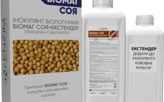 Упаковка препарата Биомаг-Соя с изображением соевых зерен и двумя бутылками