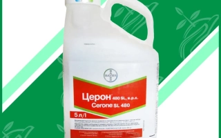 Бутылка с регулятором роста Церон 480SL на зеленом фоне