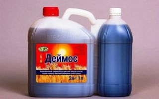 ДЕЙМОС (ДЕЙТУС)