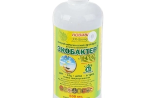 Бутылка с жидкостью и этикеткой ЭКОБАКТЕР - ЕКОБАКТЕР ТЕРРА
