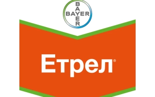 Логотип Bayer с названием продукта Етрел на оранжевом фоне - Этрел / Етрел