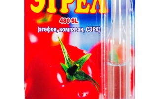 Упаковка регулятора роста ЭТРЕЛ 480 SL с изображением помидора