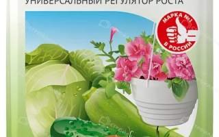 Упаковка минерального регулятора роста Фитозонт с изображением томатов и салата - Филазонит Регенерующий