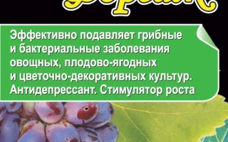 Упаковка регулятора роста Витаплан+ Форсайк с изображением винограда и клубники - Форсайт