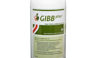 Гибб Плюс