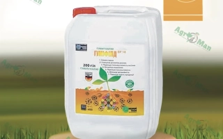 Белая канистра с этикеткой Humifield на деревянной подставке на фоне травы. - Гумифилд