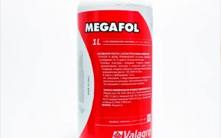 Бутылка регулятора роста MEGAFOL 2L от Valagro - Мегафол