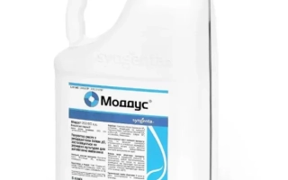 Белая канистра с зелёной крышкой и этикеткой Моааус - МЕГАТЕР