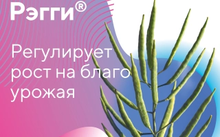 Упаковка регулятора роста Регги с изображением растения