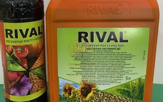 Две бутылки с продуктом RIVAL на зеленой поверхности - РИВАЛ(RIVAL)