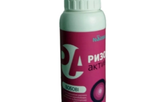 Бутылка с продуктом Ризоактив Бобови на розовом фоне